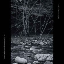river & trees b&w.jpg
